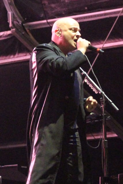 Photo of Disturbed
